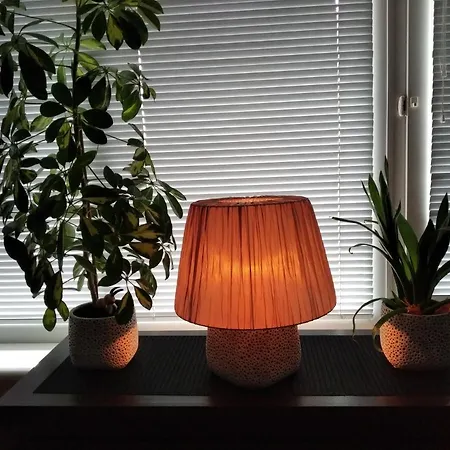 Aurelia ウストカ