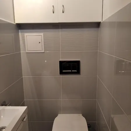 Aurelia * ウストカ